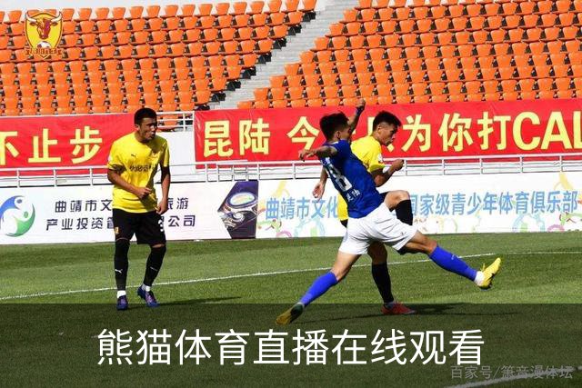 熊猫体育直播在线观看公司介绍